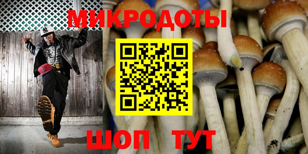Снежинск  Псилоцибиновые грибы Cubensis  Вход с VPN 